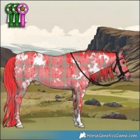 Horse Color:Watercolor Plaid  White Spotted Liver Red Dun Brindle 