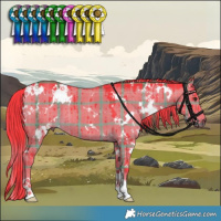 Horse Color:Watercolor Plaid  White Spotted Liver Red Dun Brindle 