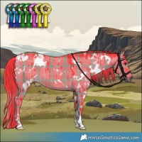 Horse Color:Watercolor Plaid  White Spotted Liver Red Dun Brindle 