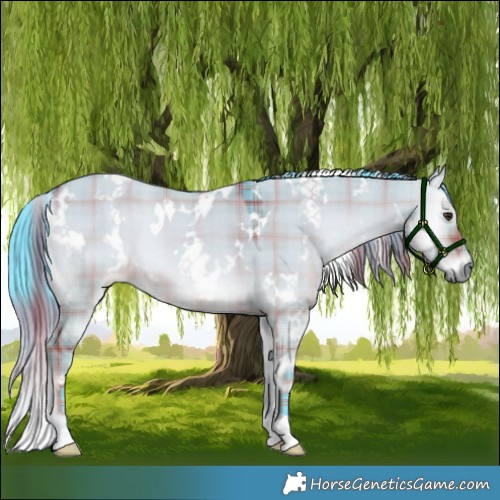 Horse Color:Watercolor Plaid  White Spotted Liver Red Dun Onyx 