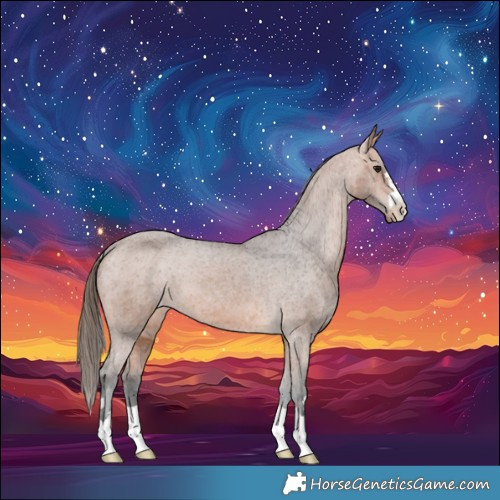 Horse Color:Bay Varnish 