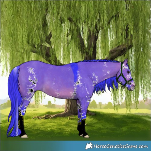 Horse Color:Watercolor Brown Dun Sabino 
