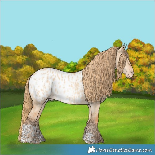 Horse Color:Red Dun Appaloosa  and Red Dun Appaloosa 