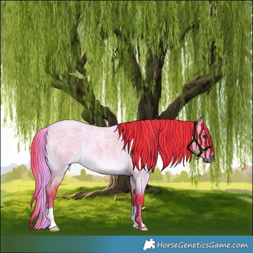 Horse Color:Watercolor Liver Red Dun Roan 