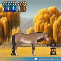 Horse Color:Liver Red Dun 