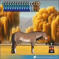 Horse Color:Liver Red Dun 