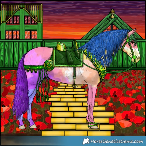 Horse Color:Brown Dun Sabino 