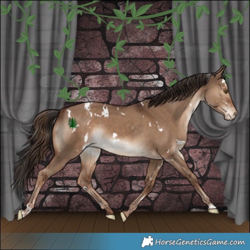 Horse Color:White Spotted Liver Red Dun Appaloosa 