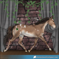 Horse Color:White Spotted Liver Red Dun Varnish 