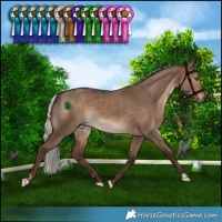 Horse Color:Silver Bay Dun 