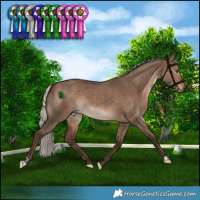 Horse Color:Silver Bay Dun