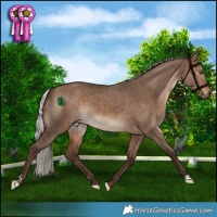 Horse Color:Silver Bay Dun 