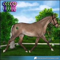 Horse Color:Silver Bay Dun 
