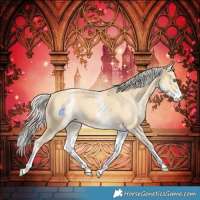 Horse Color:White Spotted Gold Cream Champagne 