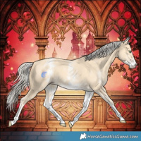 Horse Color:White Spotted Gold Cream Champagne 