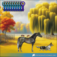 Horse Color:Buckskin Tobiano 