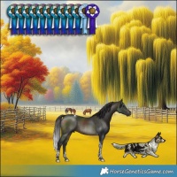 Horse Color:Buckskin Tobiano 