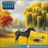 Horse Color:Buckskin Tobiano 