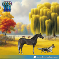Horse Color:Buckskin Tobiano 