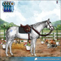 Horse Color:Gray White Spotted Black Splash Appaloosa 