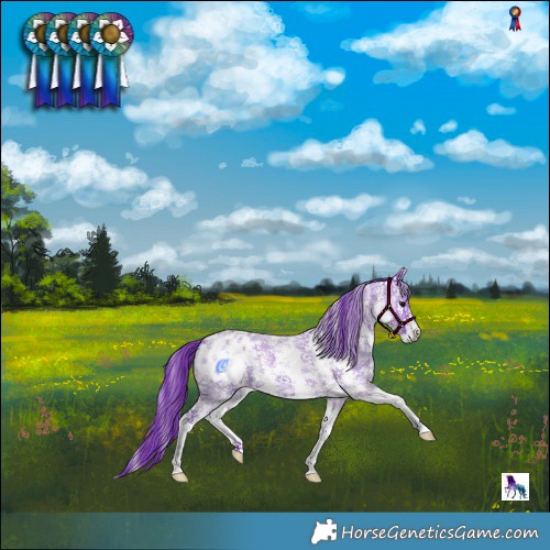 Horse Color:Watercolor Blue Roan Sabino Blanket 