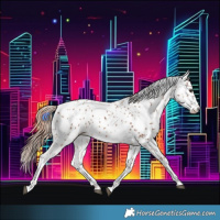Horse Color:Chestnut Appaloosa 