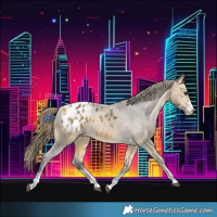 Horse Color:Buckskin Blanket