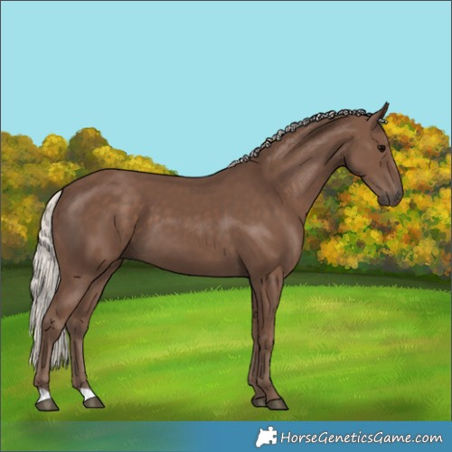 Horse Color:Silver Black 