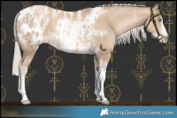 Horse Color:Chocolate Palomino Pearl Tobiano Frame and Chocolate Palomino Pearl Tobiano Frame Near Leopard