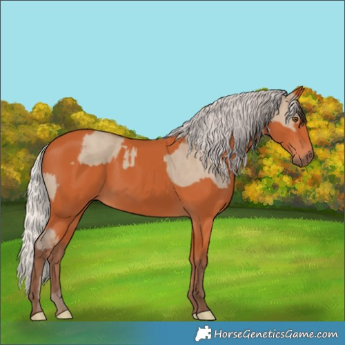 Horse Color:Classic Champagne Dun  and Silver Bay 