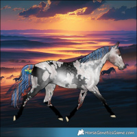 Horse Color:ERROR: UNKNOWN ANOMALY