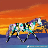 Horse Color:Painted Nacre White Spotted Liver Chestnut Chinchilla 