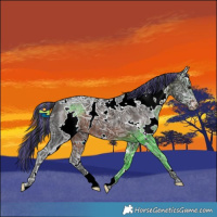 Horse Color:Painted White Spotted Brown Ice 