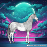 Horse Color:White Spotted Blue Roan Splash Frame Skewed Appaloosa 