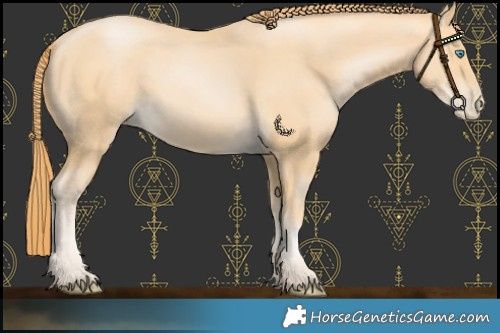 Horse Color:Buckskin Pearl 