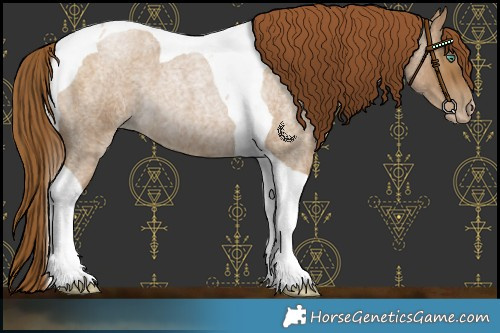 Horse Color:Gray Smoky Blue Roan Pearl Tobiano 