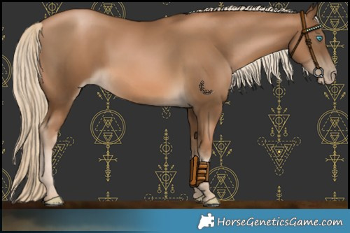 Horse Color:Gray Chocolate Palomino Pearl 