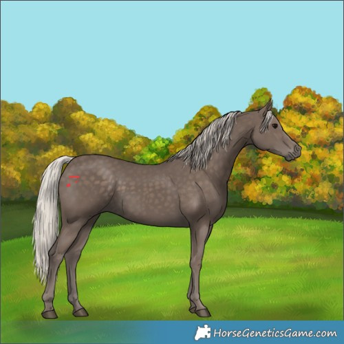 Horse Color:Silver Black 