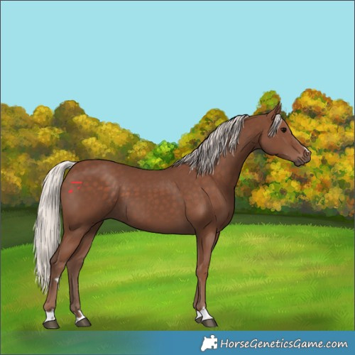 Horse Color:Silver Black 