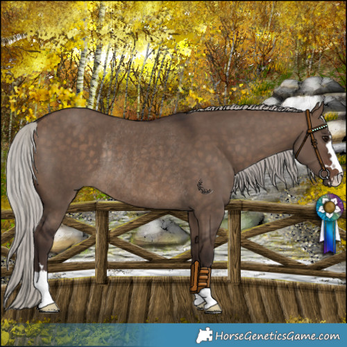 Horse Color:Silver Brown Dun Rabicano 