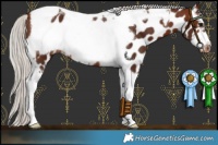 Horse Color:Silver Brown Tobiano Frame Leopard 