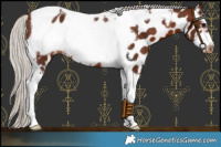 Horse Color:Silver Brown Tobiano Frame Appaloosa 