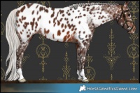 Horse Color:Silver Brown Blanket