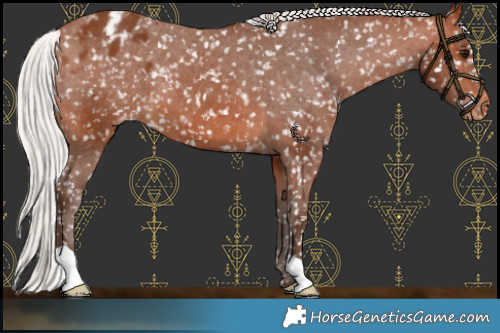 Horse Color:Silver Brown Snowflake Varnish 