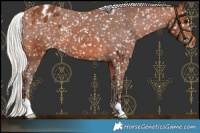 Horse Color:Silver Brown Snowflake Varnish 