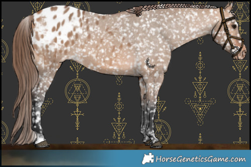 Horse Color:Bay Dun Snowflake Varnish 