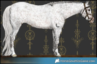 Horse Color:Silver Brown Roan Snowflake Varnish