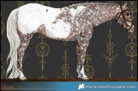 Horse Color:Silver Brown Snowcap 