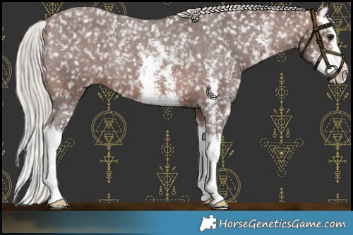 Horse Color:Silver Brown Sabino Splash Appaloosa Rabicano 