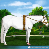 Horse Color:Silver Brown Near Fewspot 